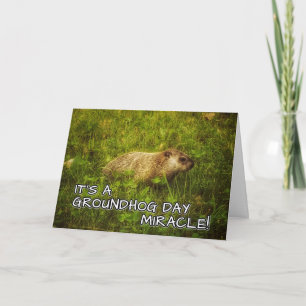 C'est un miracle du jour des marmottes ! carte de 