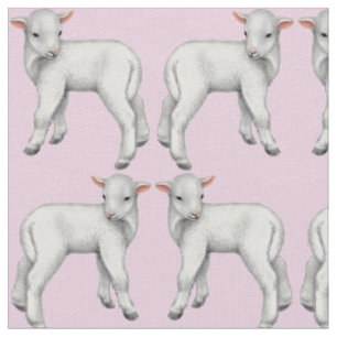 C'est un petit tissu d'agneau de bébé de fille