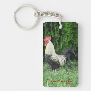 C'est un porte - clé de poulet de chose d'Oviedo