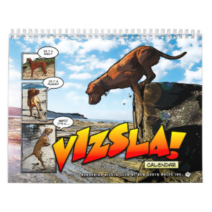 C'est un Vizsla ! Calendrier