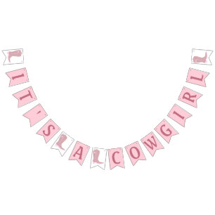 C'est une bannière de Baby shower de pays de fille