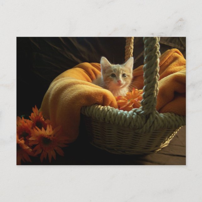 C'est une grande carte postale du monde (Devant)