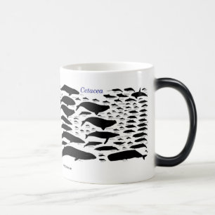 Cetaceans Magic Mug