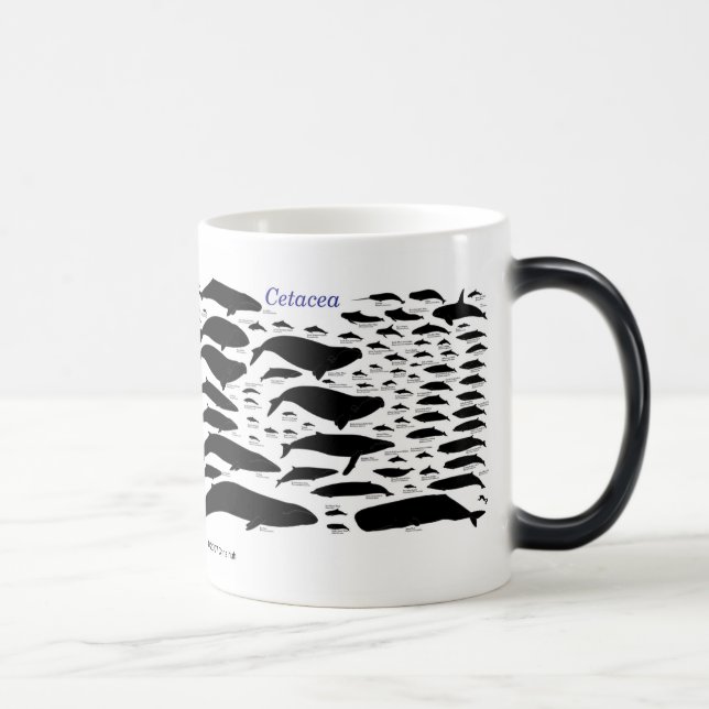 Cetaceans Magic Mug (Right)
