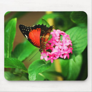 Cethosia biblis Mousepad