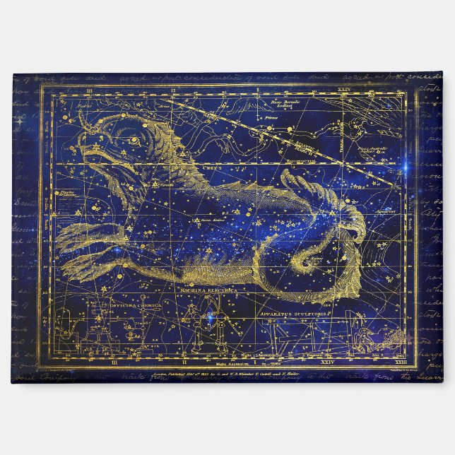 cetus constellation magnet (Front)