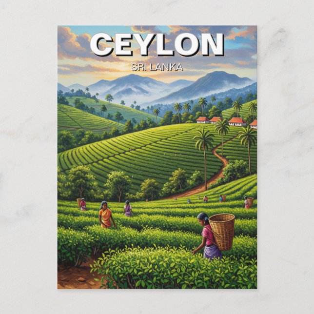 Ceylon Sri Lanka Travel Postcard (Front)