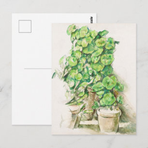 Cezanne Geraniums Vintage Botanical Art Print Postcard