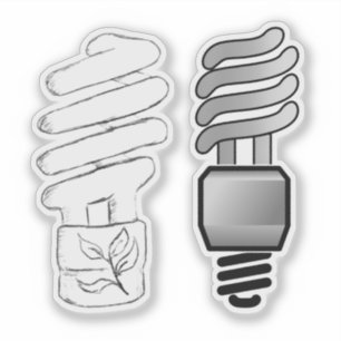 CFL Light Bulbs