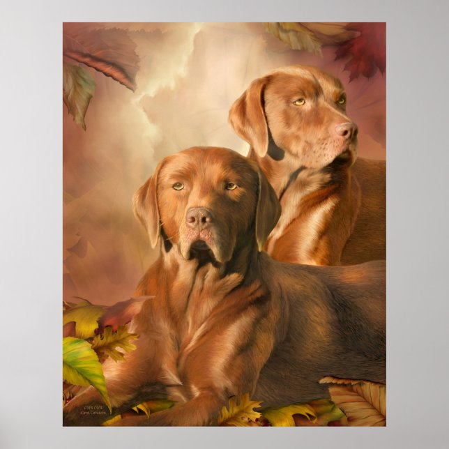 Cha Cha - The Chocolate Lab Art Poster/Print Poster (Front)