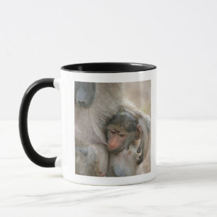 Chacma Baboon, Papio ursinus with young, Kruger Mug