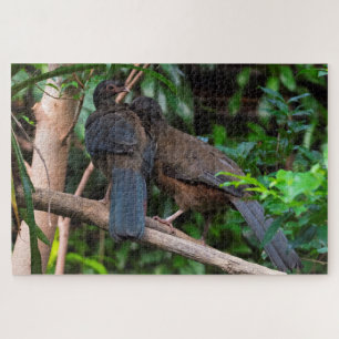 Chaco Chachalacas Jigsaw Puzzle