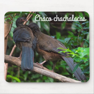 Chaco Chachalacas Mouse Pad