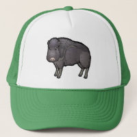 Chaco Peccary