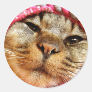 Chad Pink Cap Classic Round Sticker