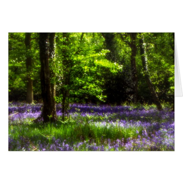 Chaddesley Bluebells (Front Horizontal)