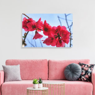 Chaenomeles speciosa canvas print