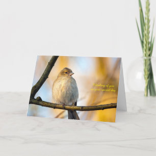 Chaffince in Autumn Thank You Card