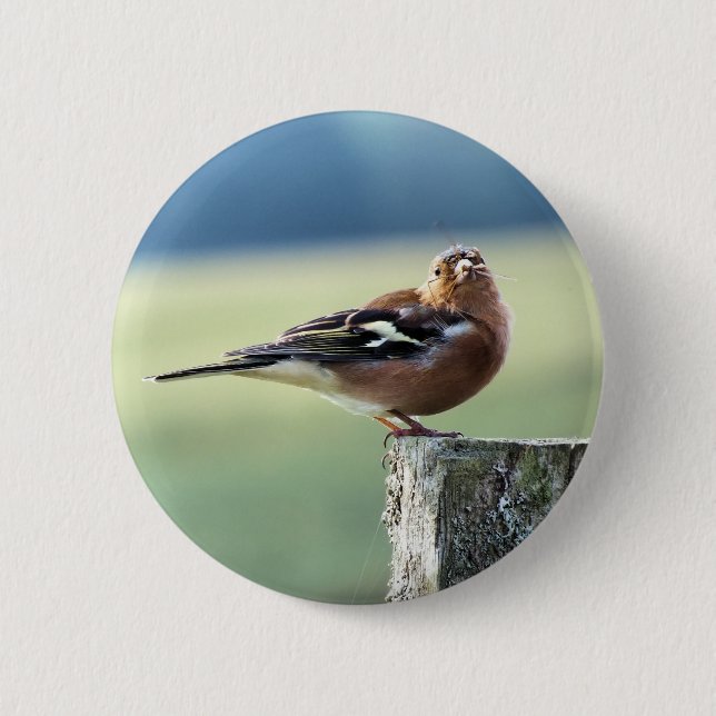 CHAFFINCH 2 INCH ROUND BUTTON (Front)