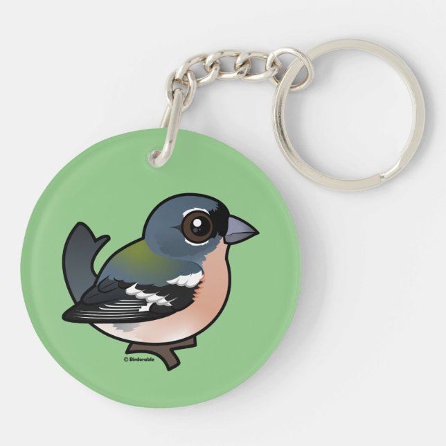 Chaffinch africain Birdoré (Dos)