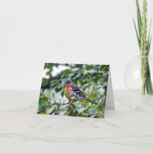 Chaffinch bird Greeting card