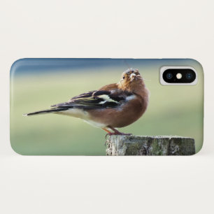 CHAFFINCH  Case-Mate iPhone CASE