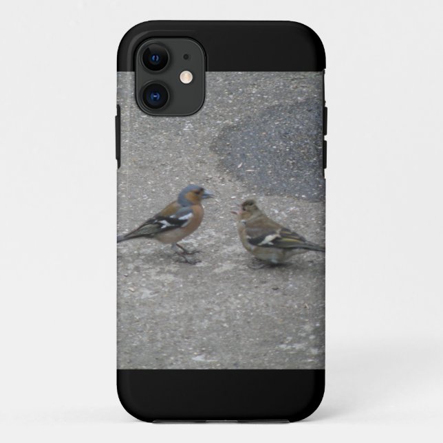 Chaffinch Feed Me iPhone 5 Case (Back)