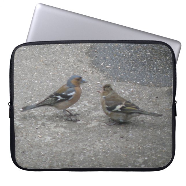 Chaffinch Feed Me Laptop Bag (Front)