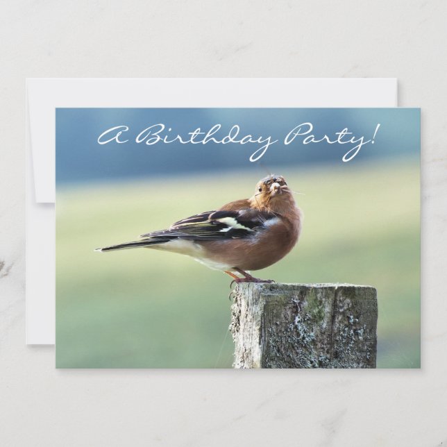 CHAFFINCH INVITATION (Front)