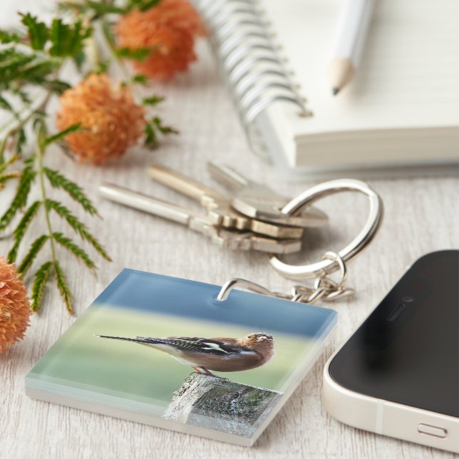 CHAFFINCH KEYCHAIN (Front Right)