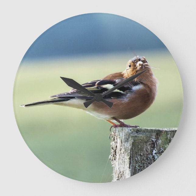 CHAFFINCH LARGE CLOCK (Front)