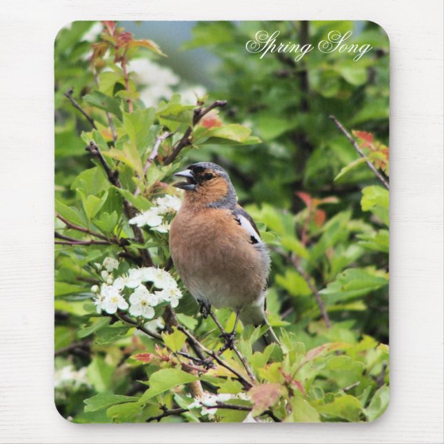 CHAFFINCH MOUSE PAD (Front)