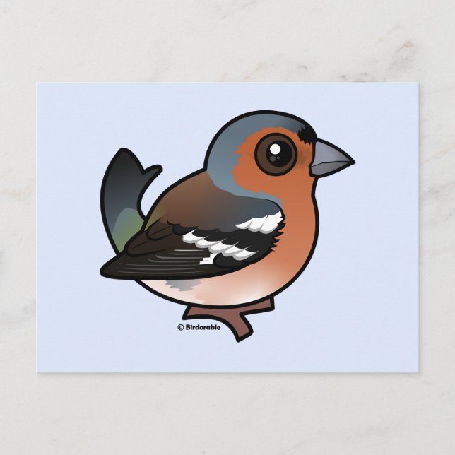Chaffinch Postcard (Front)