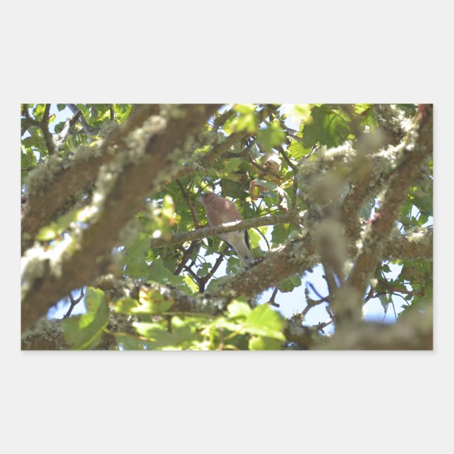 Chaffinch Sticker (Front)