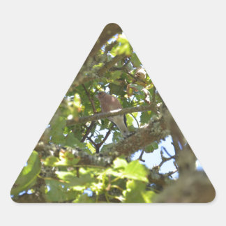 Chaffinch Triangle Sticker