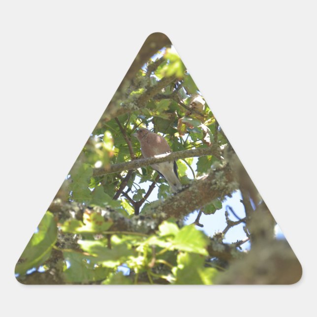 Chaffinch Triangle Sticker (Front)