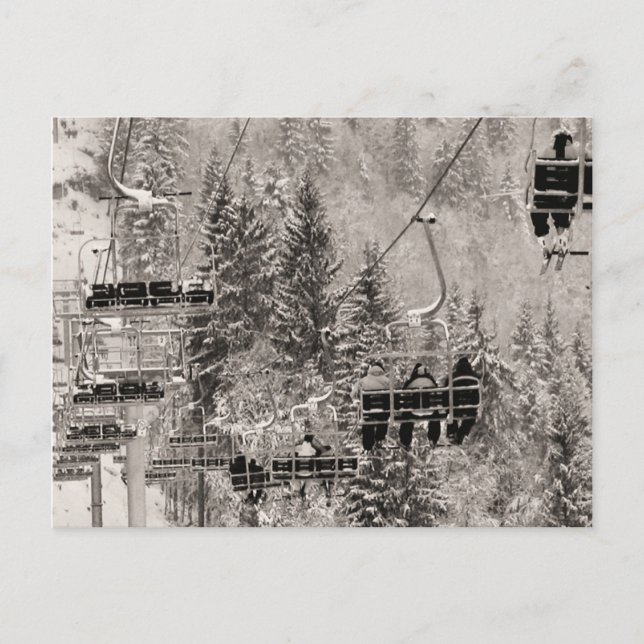 Chairlifts above the trees postcard (Front)
