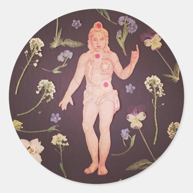 Chakras Sticker (Front)