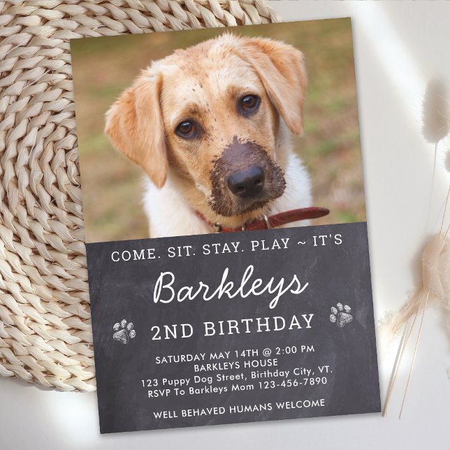 Chalkboard Puppy Dog Birthday Custom Pet Photo  In Invitation (Creator Uploaded)
