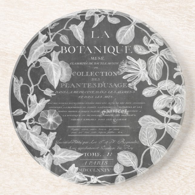 chalkboard scripts french botanical art ivy leaves coaster (Front)