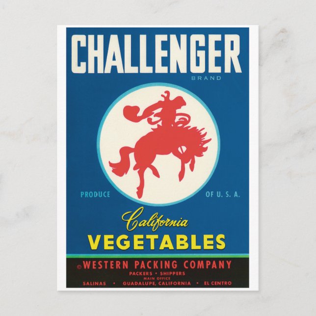 Challenger Rodeo Salinas El Centro Guadalupe CA Postcard (Front)