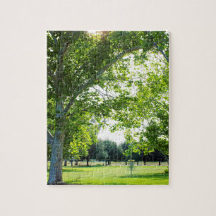 Challenging Disc Golf Tree Puzzle