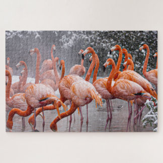 Challenging Flamingos Photo  Jigsaw Puzzle