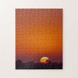 Challenging Orange Trees Sunset San Diego Jigsaw Puzzle