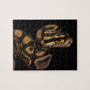 Challenging Snake Puzzle