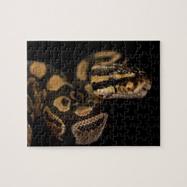 Challenging Snake Puzzle (Horizontal)
