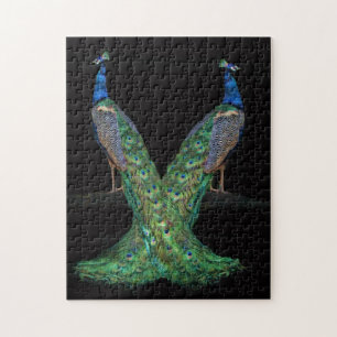 Challenging Two Peacock Puzzle