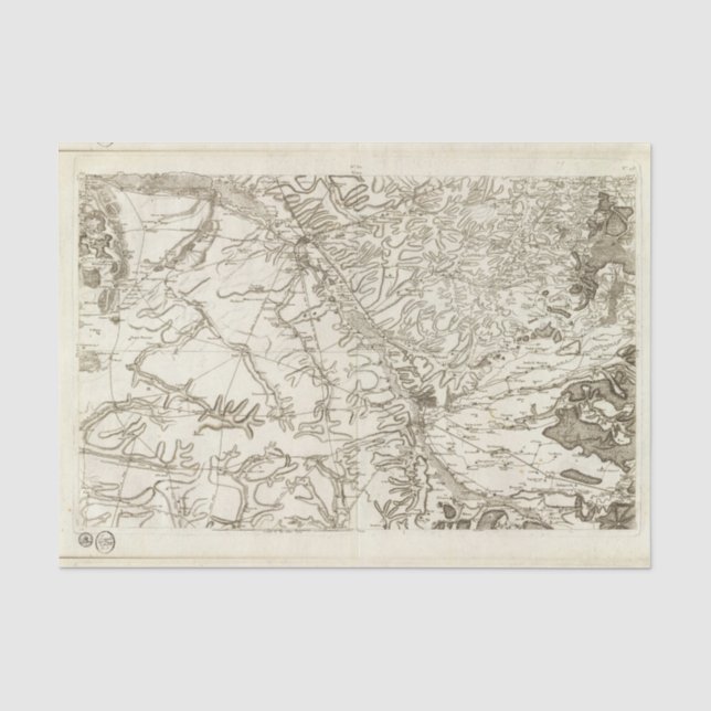 Chalonsen Champagne Tissue Paper (Front)