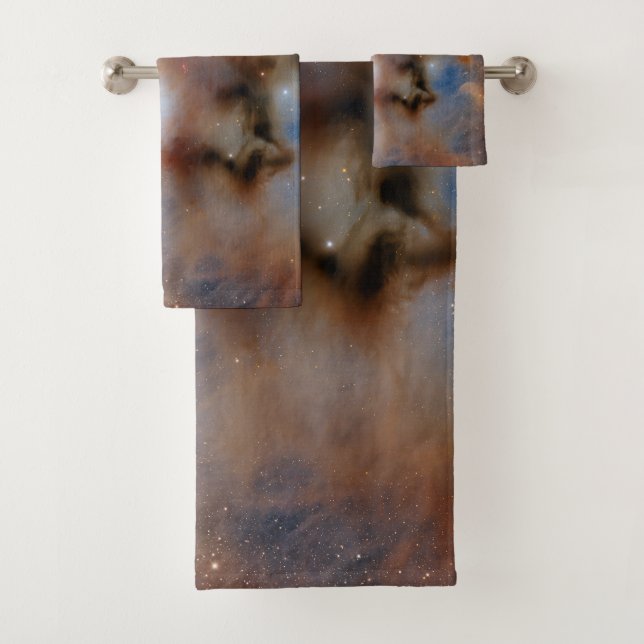 Chamaeleon I Dark Cloud (En situation)