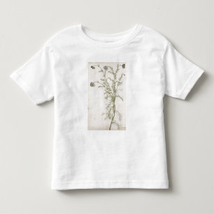 Chamaemelum nobile Allioni, c.1568 Toddler T-shirt